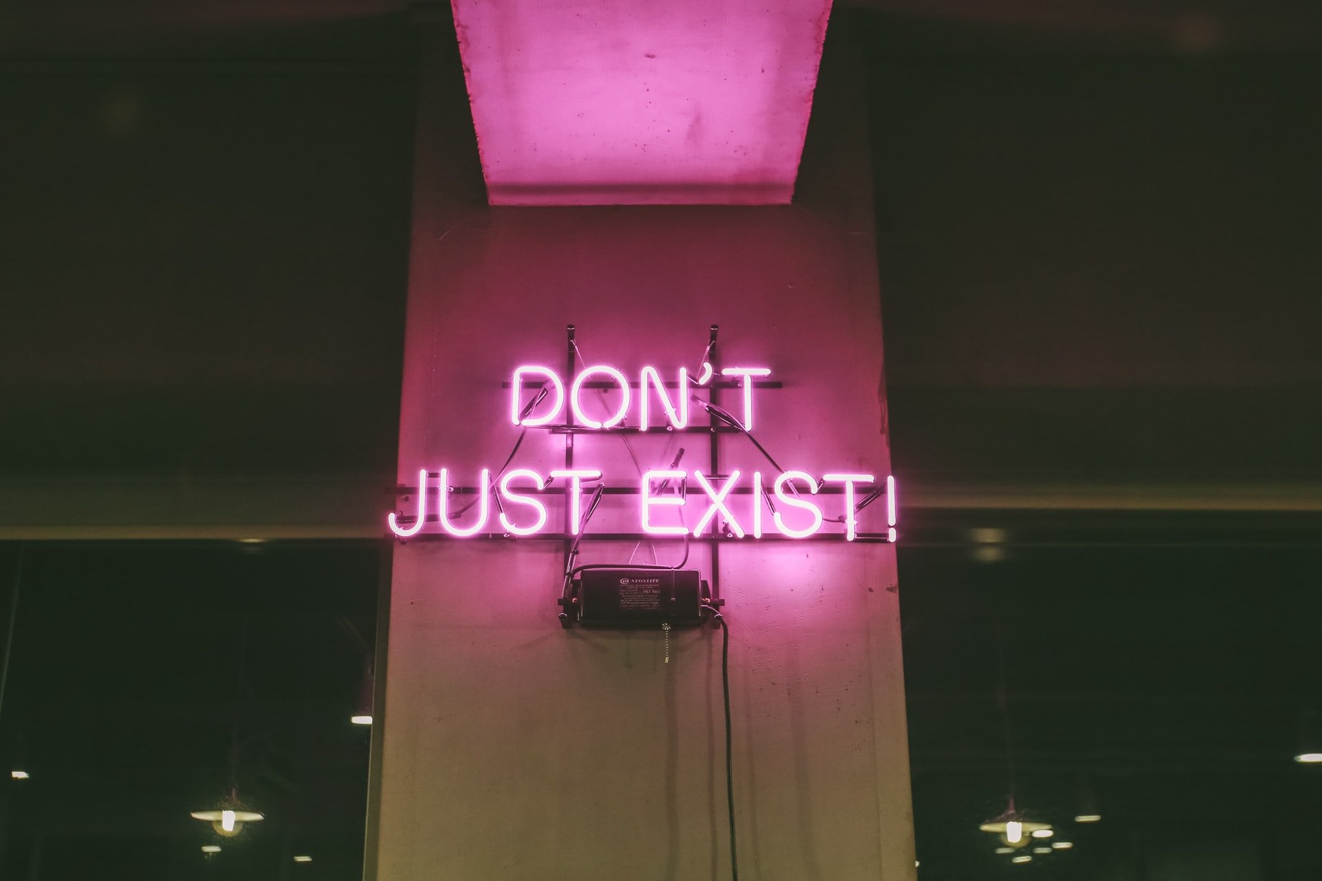 jan kim gblpm9PBrO4 unsplash