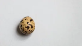 Sabah Kahvaltılarında Tok Kalmanızı Sağlayacak Besinler