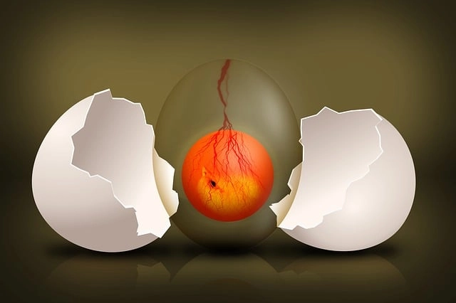 Sabah Kahvaltılarında Yüksek Protein İçeren Alternatifler Sabah Kahvaltılarında Yüksek Protein İçeren Alternatifler
