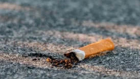 Çocuklar için eğlenceli sunumlu kahvaltılar