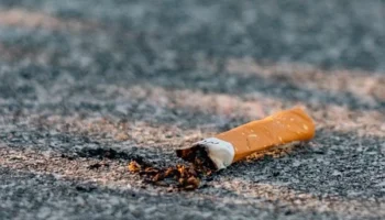 Çocuklar için eğlenceli sunumlu kahvaltılar