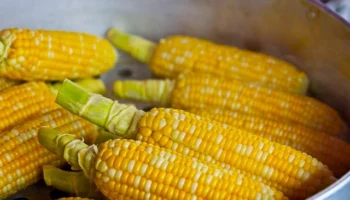 Fırında pişen et yemeklerinde kurumayı önleme