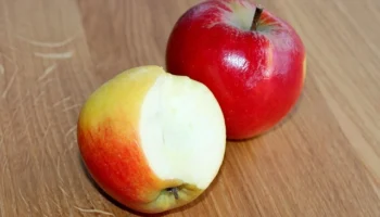 Glutensiz hamur işlerinde maya kullanımı