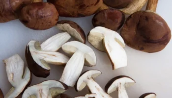 Kızartma yapmadan çıtır mücver nasıl olur?