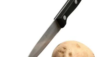 Lezzetli bir akşam menüsü hazırlama