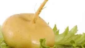 Mantı hamuru nasıl saklanır?