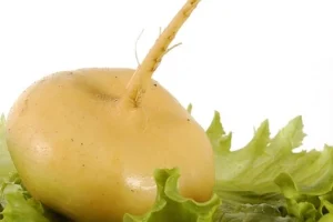Mantı hamuru nasıl saklanır?