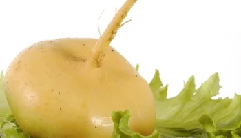 Mantı hamuru nasıl saklanır?