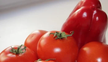 Pratik ve lezzetli dolma nasıl hazırlanır?