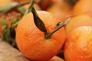 Tavuk yemeklerinde marinasyon önerileri