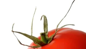 Türkiye'de en çok aranan çiğ köfte tarifi