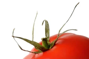 Türkiye'de en çok aranan çiğ köfte tarifi