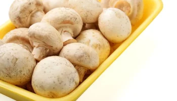 Vegan kek yapımında bağlayıcı malzemeler