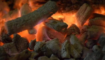 Vegan kurabiyelerde çikolata alternatifi