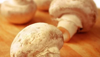 Vegan menemen olur mu? İşte tarifi