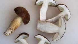 Yumurta ile yapılan ekonomik yemekler